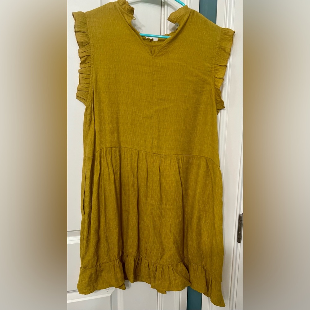 Pinch Golden Ruffle Dress - Picture 2 of 3